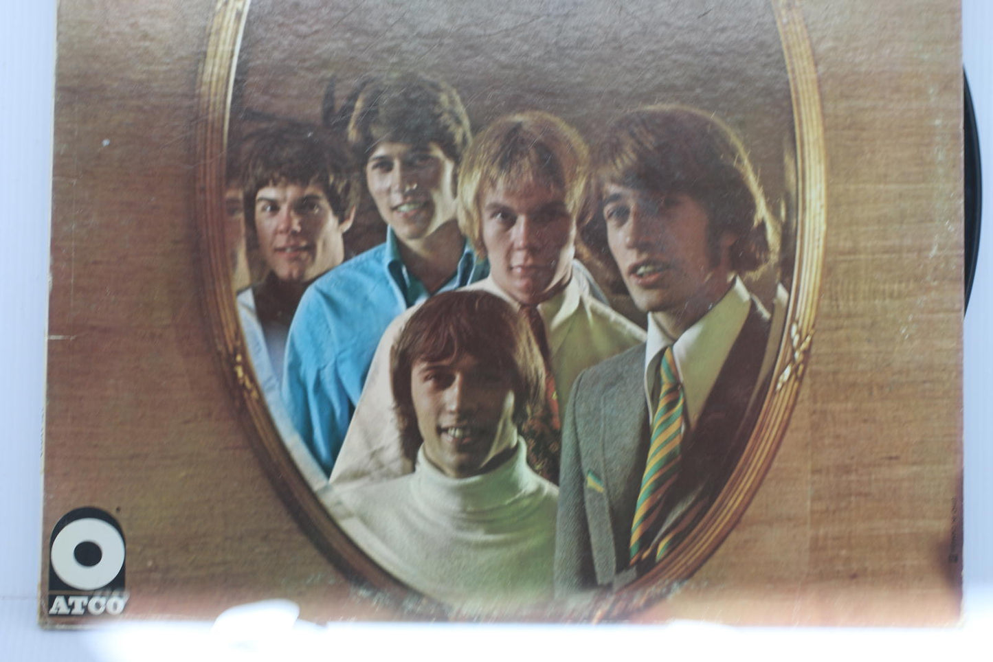 Bee Gees - Horizontal Vinyl Record Album