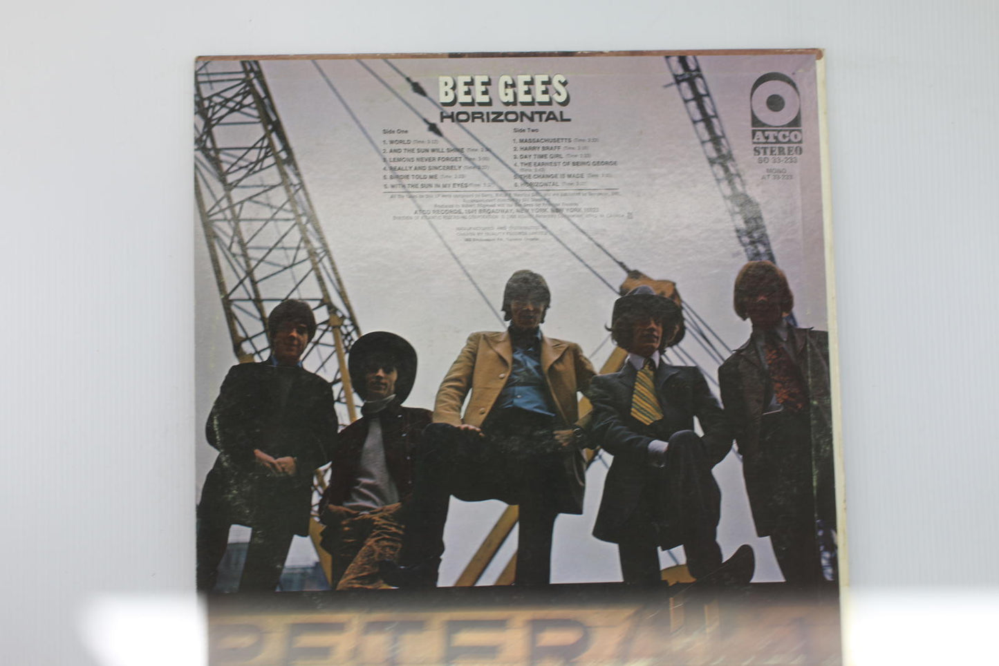 Bee Gees - Horizontal Vinyl Record Album
