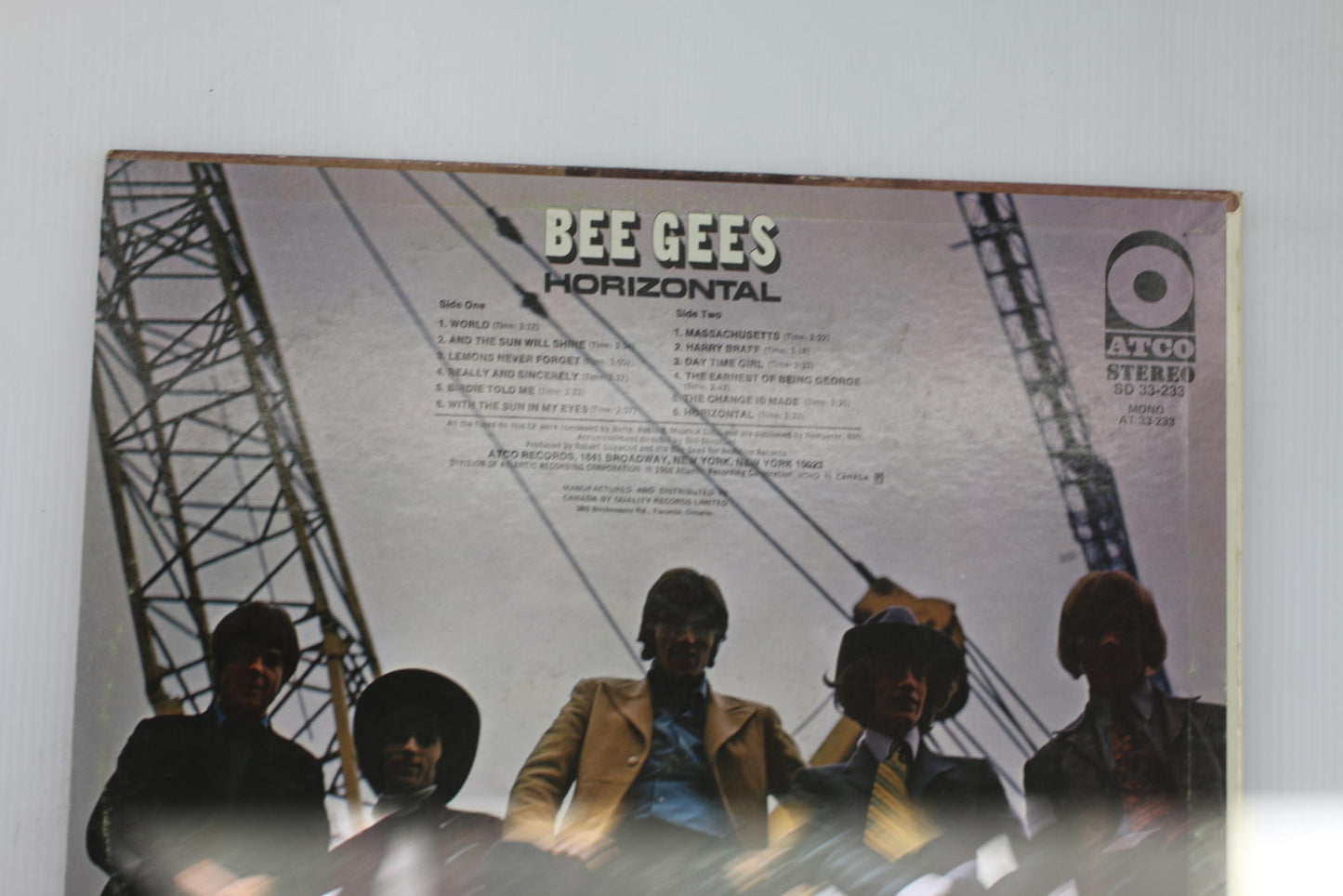 Bee Gees - Horizontal Vinyl Record Album