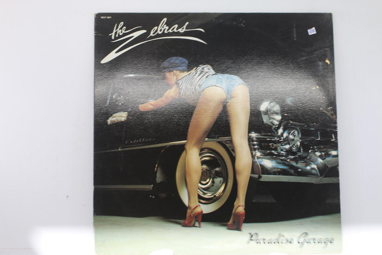 The Zebras - Paradise Garage Vinyl Record Album (LP, Album), 1980