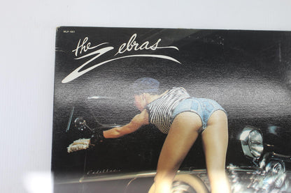 The Zebras - Paradise Garage Vinyl Record Album (LP, Album), 1980