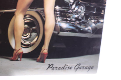 The Zebras - Paradise Garage Vinyl Record Album (LP, Album), 1980