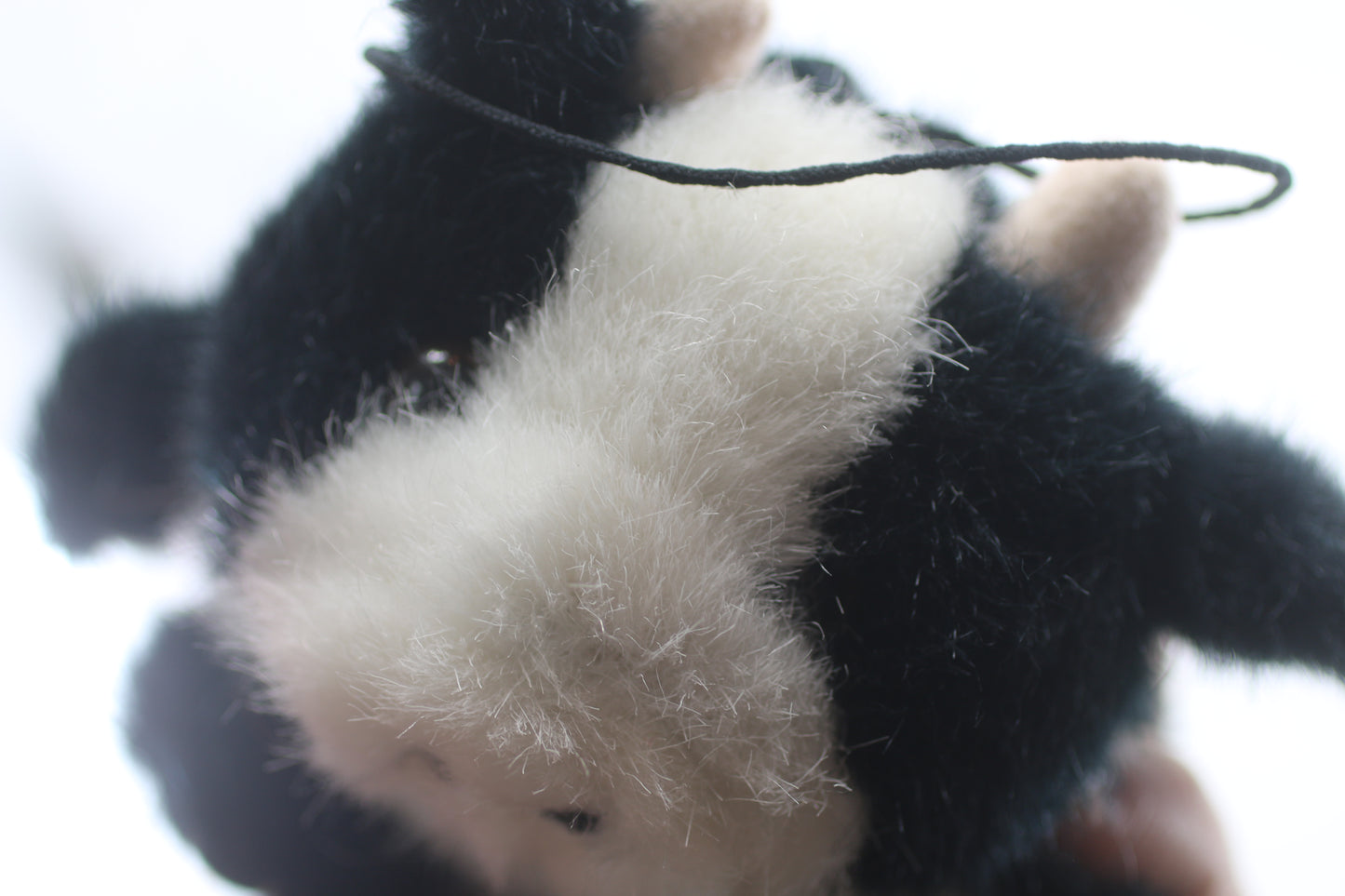 Pre-owned Mini plush cow doll toy Dollarama Retired