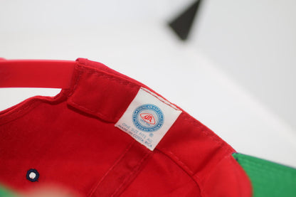 Vintage Florida Panthers Snapback Cap – Panther Logo – NHL