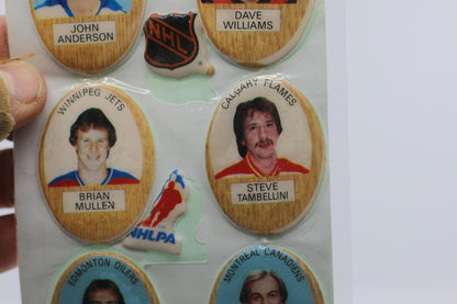 Vintage NHL Hockey Player Puffy Stickers Card 4 Funmate Series 1 Made in Japan