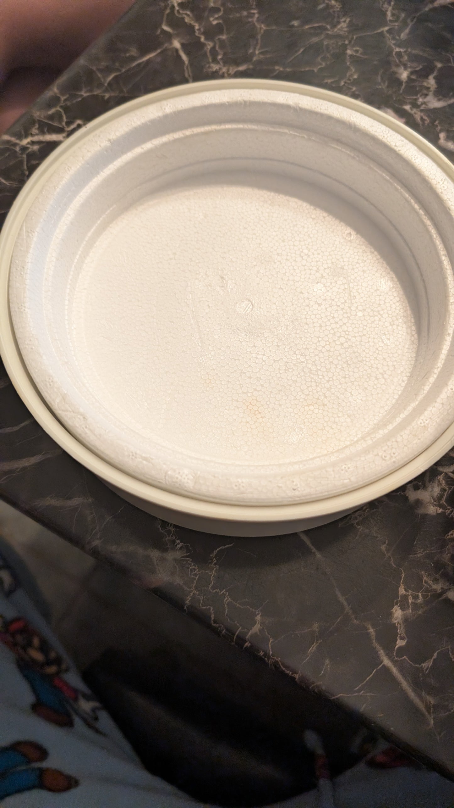 Vintage Yogotherm Yogurt Maker Container – Made in Canada – Institut Rosell IPL