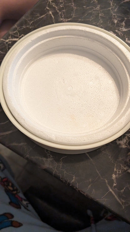 Vintage Yogotherm Yogurt Maker Container – Made in Canada – Institut Rosell IPL