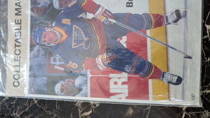 Brett Hull St. Louis Blues Collectible Magnet – NHL Premier Edition – Sealed