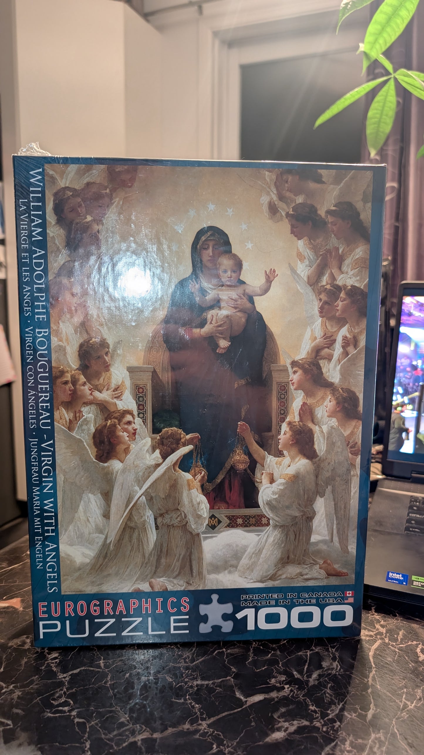Mother And Child Puzzle Mary Eurographics 1000 Piece  Virgin With Angels New