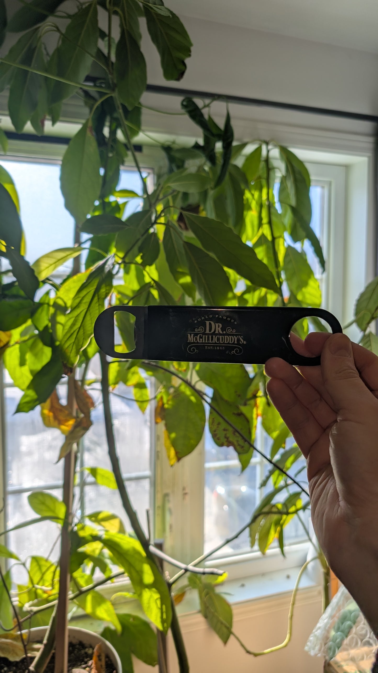 New Dr. McGillicuddy’s Bar Bottle Opener NEW Sealed Speed Opener Promo