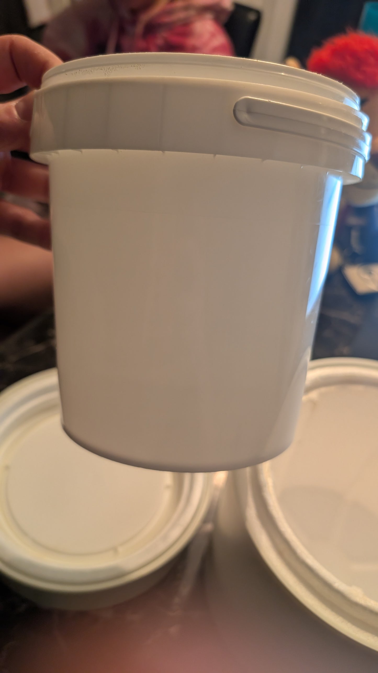 Vintage Yogotherm Yogurt Maker Container – Made in Canada – Institut Rosell IPL