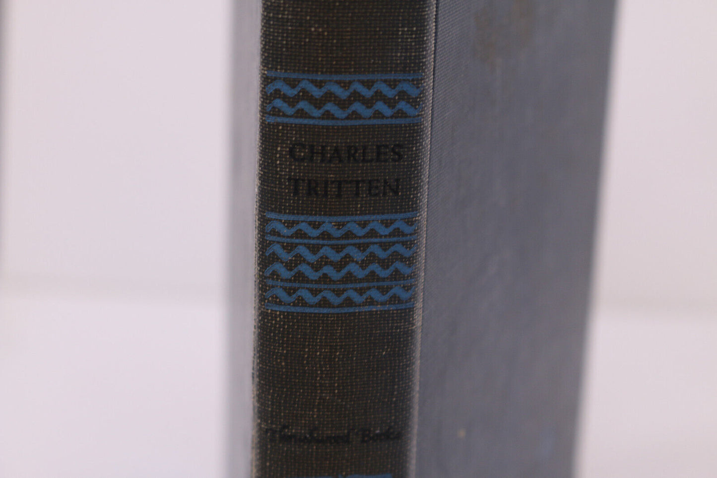 Charles Tritten A Thrushwood Books Heidi’S Children Book Antique Hardcover Vtg