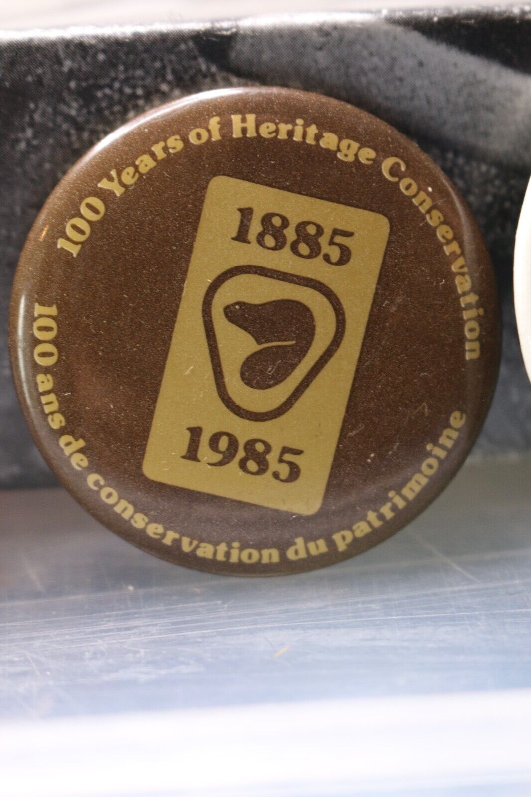 Vintage Macaron Pinback Québec 1985 100 Years Beaver Heritage Patrimoine