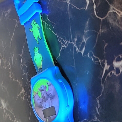 Glow In The Dark Shrek 2 Watch