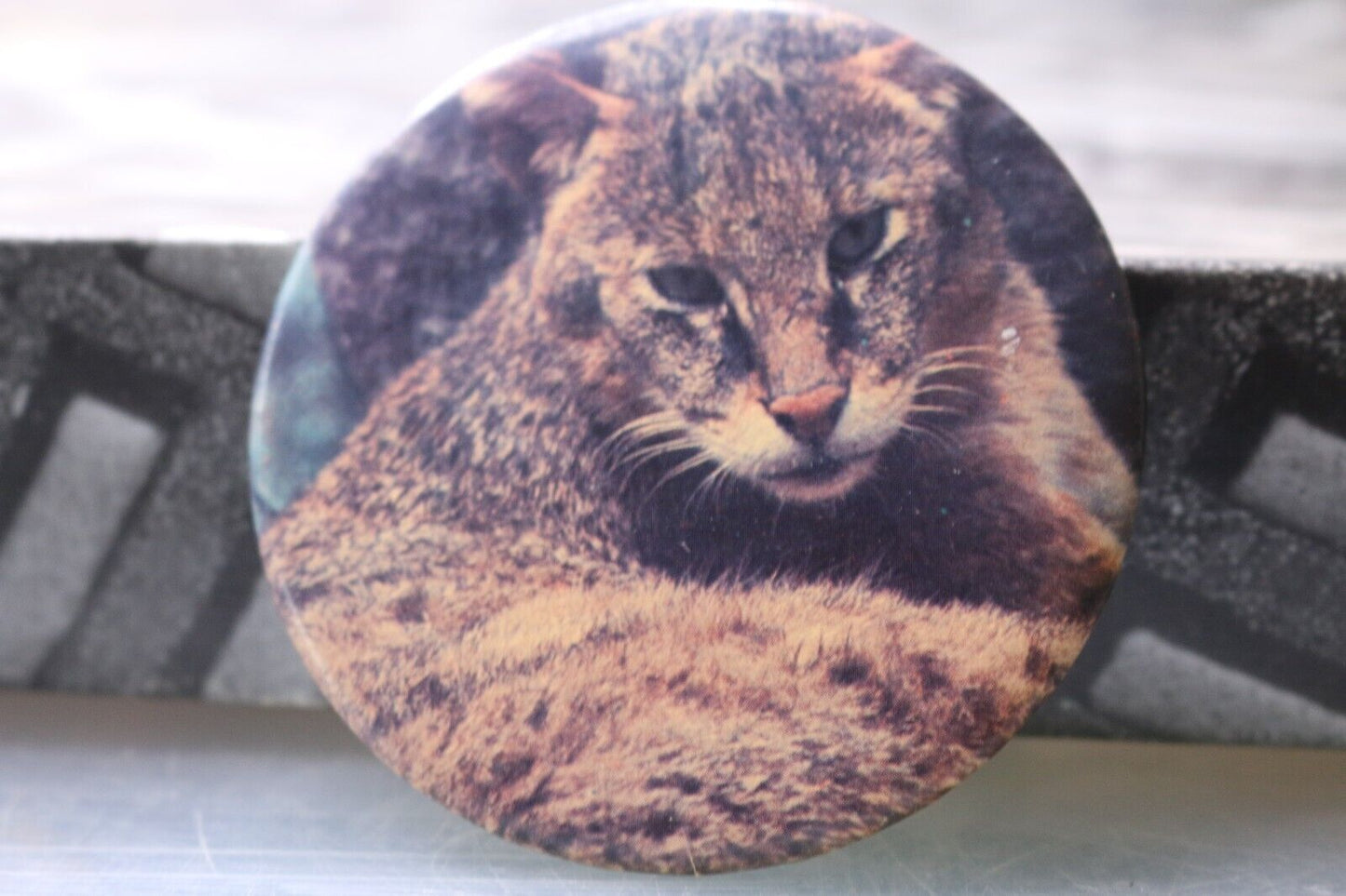 Vintage Macaron Pinback Québec Lynx Wild Cat Animal Sauvage Picture Pic Photo