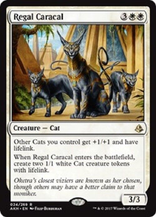 MTG 1x Regal Caracal Amonkhet  NM Magic the Gathering card