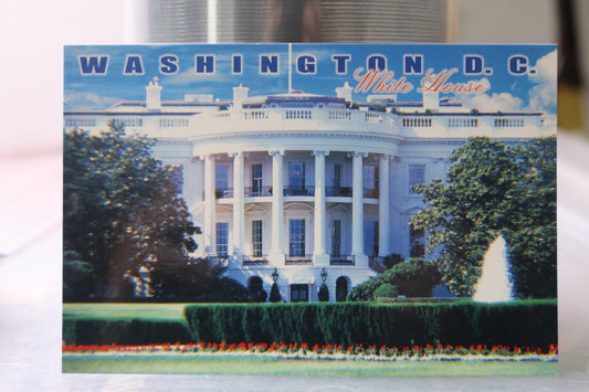 Vintage Post Card Washington D.C. White House Americana Series South View