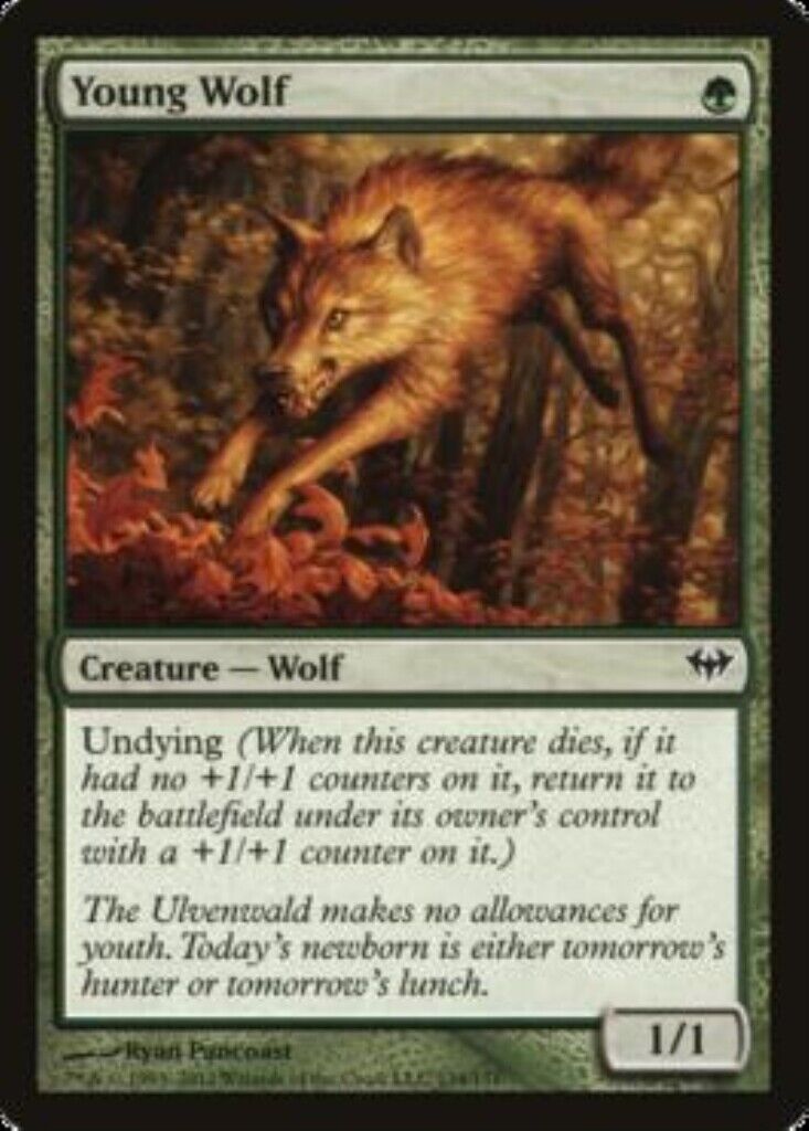 MTG MTG 1x Young Wolf Dark Ascension card Magic The Gathering