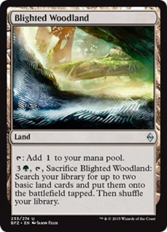 MTG MTG 1x  Blighted Woodland BFZ Battle for Zendikar Card Magic The Gathering