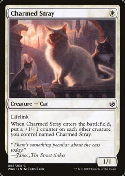 MTG MTG 4x Charmed Stray  War of the Spark Cards Magic The Gathering NM