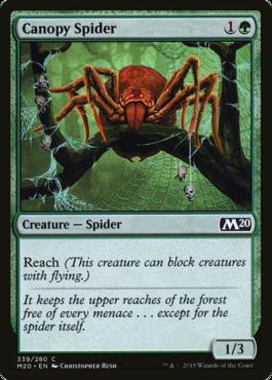 MTG MTG 2x Canopy Spider Core Set 2020 cards Magic The Gathering