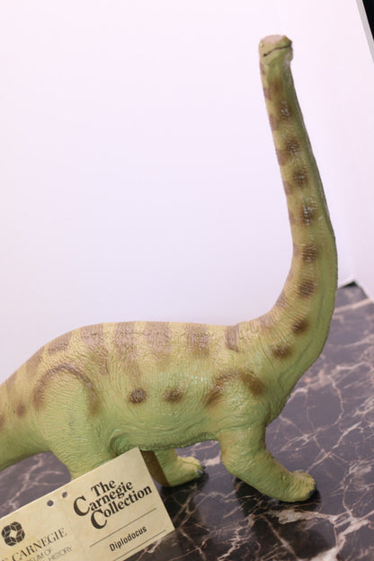 The Carnegie Diplodocus is a beautiful thing to behold The Carnegie Diplodocus is a beautiful thing to behold