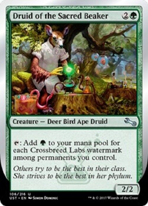 MTG MTG 2X Druid of the Sacred Beaker Unstable cards Magic The Gathering