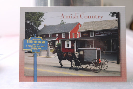 Vintage Post Card Amish Country Bird-In-Hand Greetings From The Amish Country