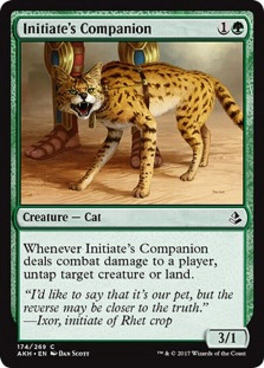 MTG MTG 4x Initiate's Companion  Amonkhet  cards Magic The Gathering