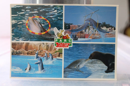 Vintage Post Card Série Parc Astérix Dauphin