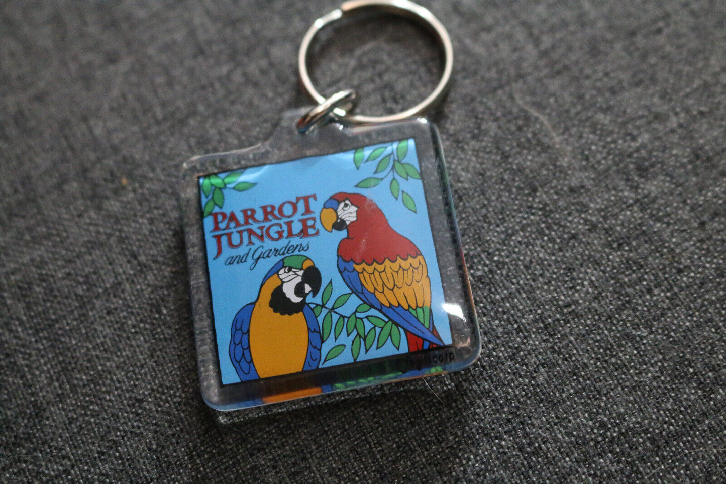 Key Chain Parrot Jungle And Gardens