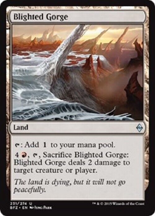 MTG MTG 1x Blighted Gorge BFZ Battle for Zendikar  Card Magic The Gathering