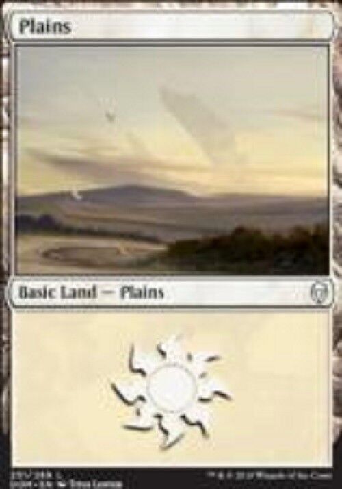 MTG Plains (251 B) Dominaria (L) FOIL Card MTG Magic Commander Commander