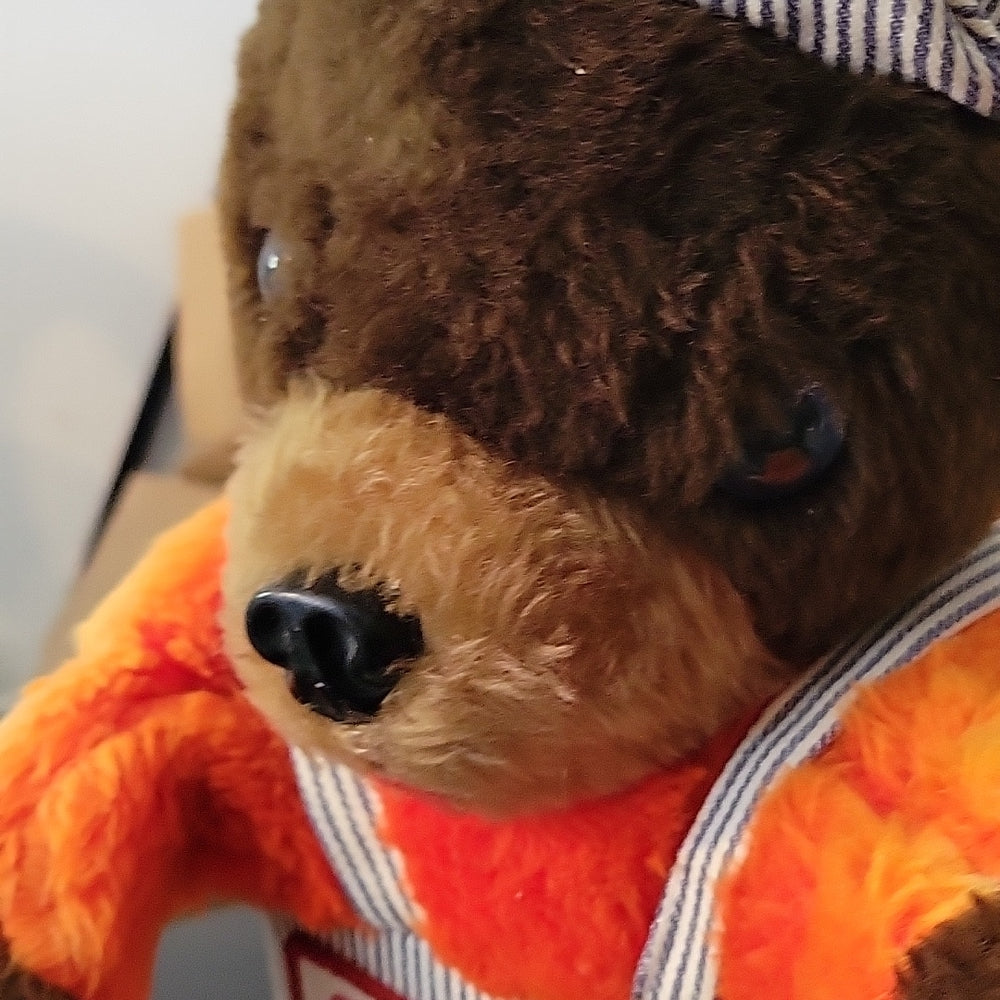 Vintage 1980'S Cn Rail Oscar Mascot Cuddly Toy 15" Plush Bear Vtg Canadian Natio