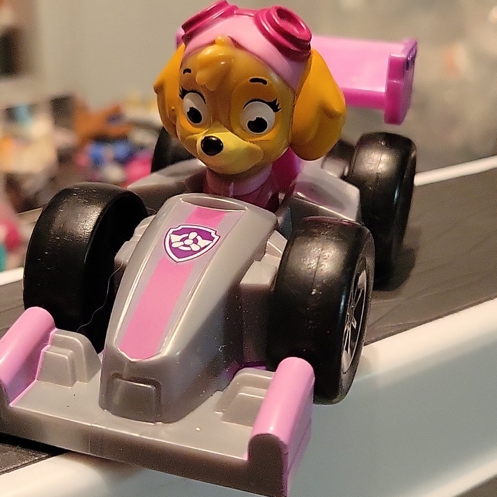 Paw Patrol Rescue Racers Skye Pink Car Vehicle Figure Spin Master