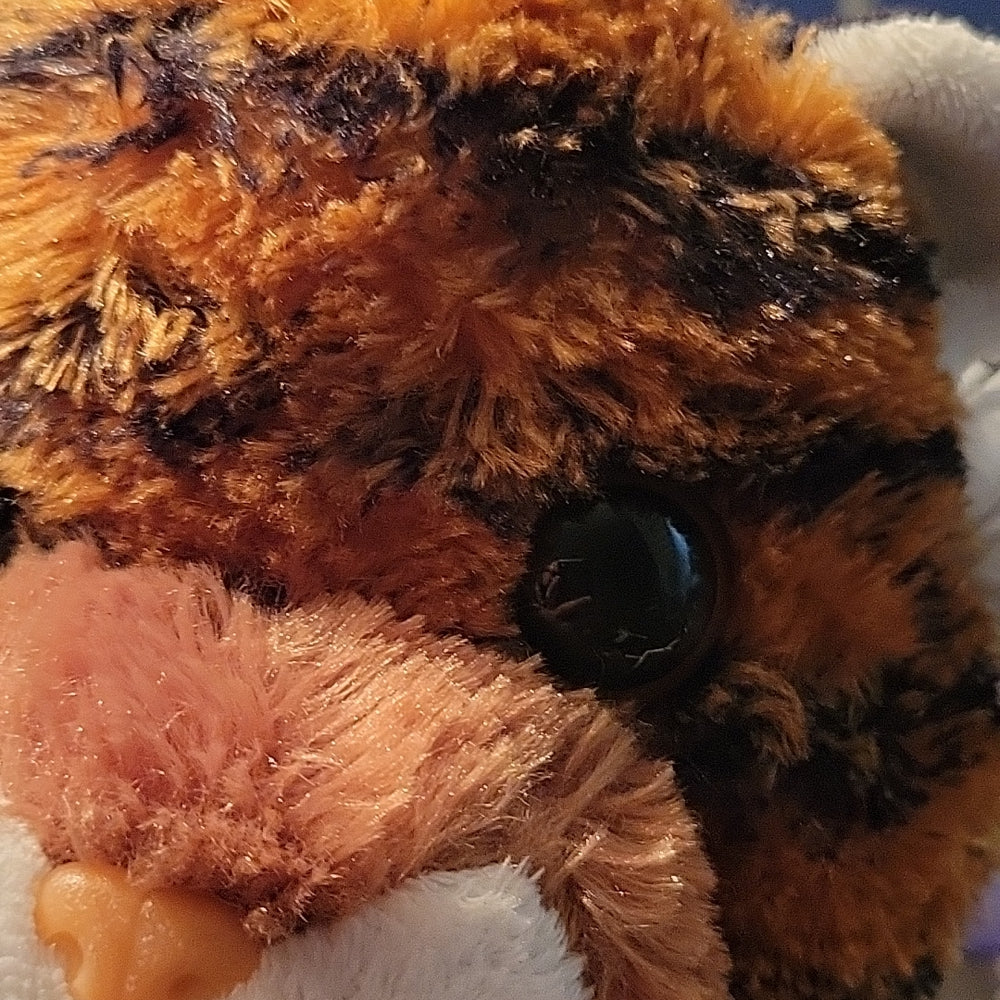 Fuzzy Teddy Bear Plush Stuffed Animal Dark Brown Unbranded For All