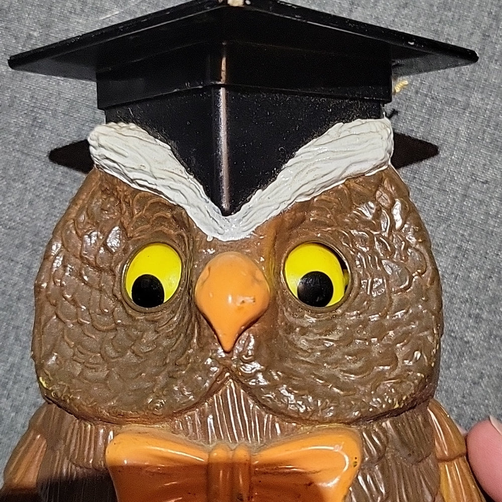 Wise Owl Mechanical Coin Piggy Bank Graduation Bird Apex Import