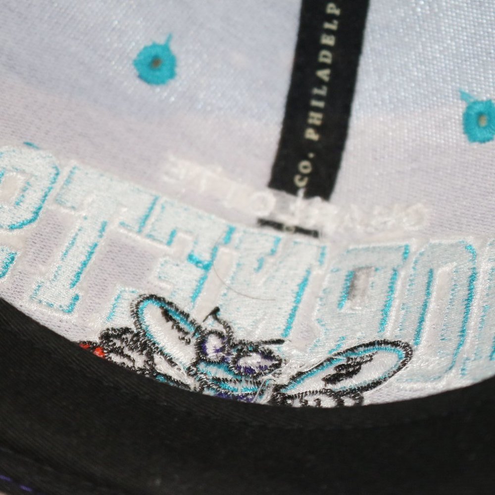 Charlotte Hornets Baseball Cap Hat Snapback Mitchell & Ness Hardwood Classics