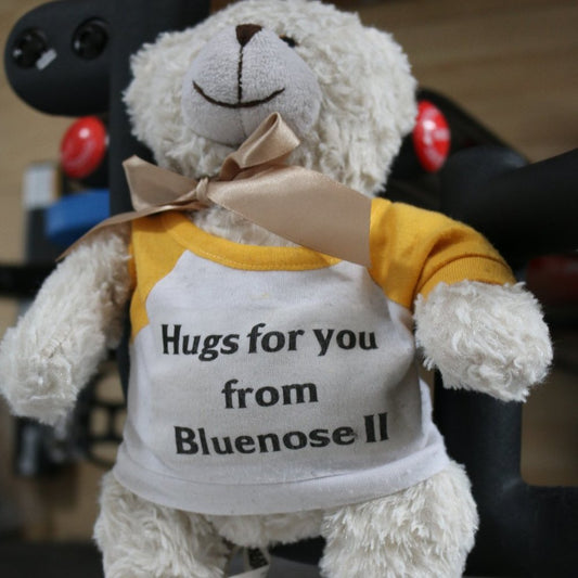 Vintage Bear Hugs For You From Bluenose Ii Creature Comforts